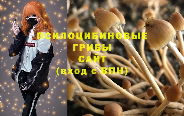 гашик Балахна