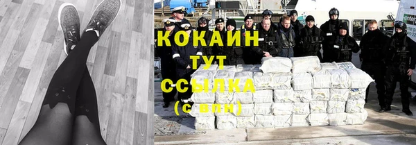 гашик Балахна