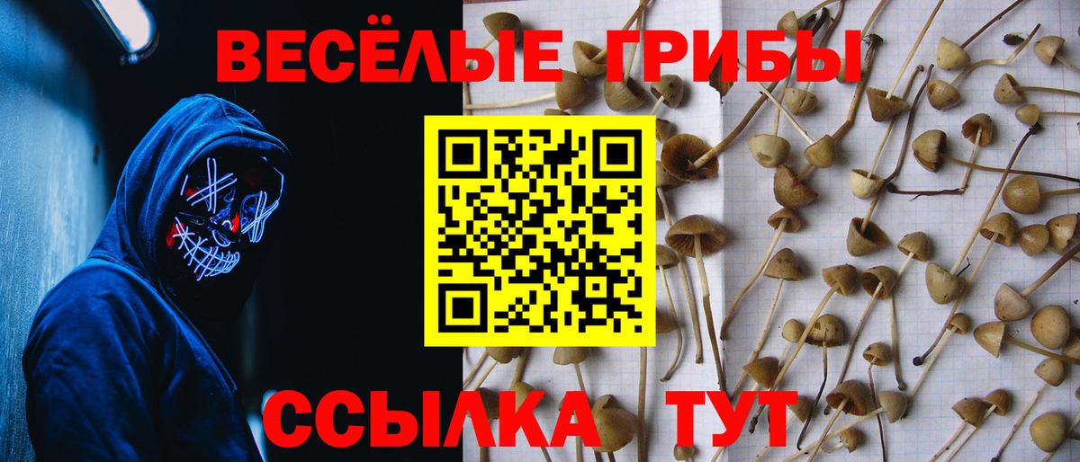 Псилоцибиновые грибы мухоморы Белая Калитва