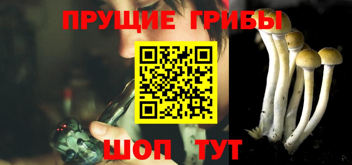 Белая Калитва  купить   Вход с VPN  Псилоцибиновые грибы Cubensis 